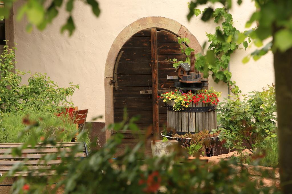 克洛斯特穆尔兰迪伊尔酒店 Münchweiler an der Alsenz 外观 照片
